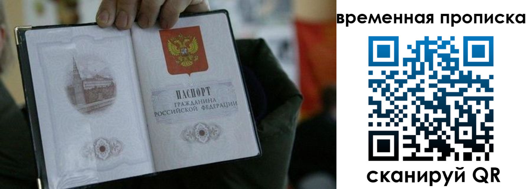 найти адрес прописки в Электростали